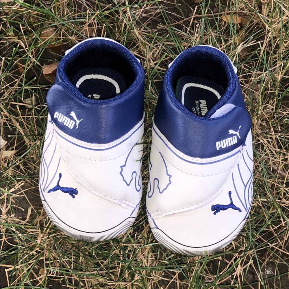 Baby Pumas